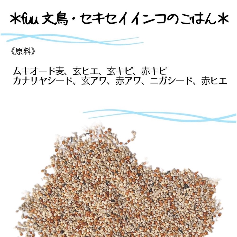 fuu 文鳥・セキセイインコのごはん（3kg）［145S46］_イメージ2