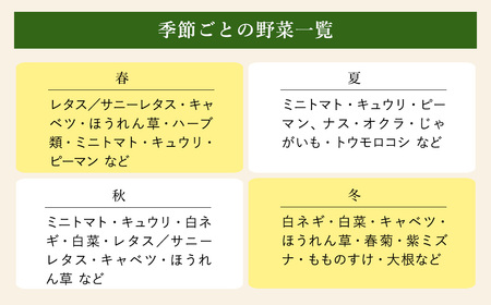 ベジプラ特選 旬のお野菜セット/ 新鮮 美味しい 野菜 産地直送 やさい 苦みが少ない 甘みが強い 歯ごたえ良い 詰め合わせ 【Veggie de ＋】