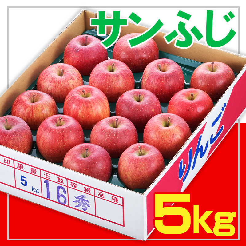 ☆フルーツ王国山形☆サンふじりんご 秀品 5kg FY25-889
