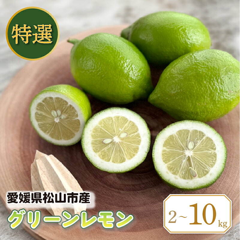 【ふるさと納税】 【2026年9月中旬頃から順次発送】 特選 グリーンレモン M・L 2～10kg | 果物 くだもの フルーツ グリーンレモン ぐりーんれもん 瀬戸内ゆうき農場