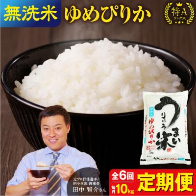 ふるさと納税 雨竜町 【R7新米!定期便全6回】うりゅう米 ゆめぴりか 無洗米 10kg(5kg×2袋)毎月1回お届け