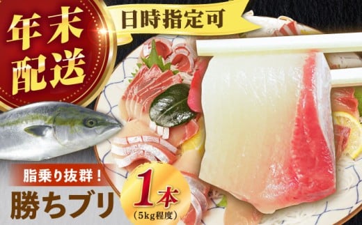 【12/29～12/31にお届け】【着日指定必須】 養殖 勝ち ブリ 1本 （約5kg） ぶり ブリ 鰤 ぶりしゃぶ 刺身 鮮魚 海鮮 魚 五島 五島列島 しゃぶしゃぶ 国産 新鮮 養殖 鍋 海鮮鍋 年末 正月 年内配送 年内発送 【カミティバリュー】 [RBP053]