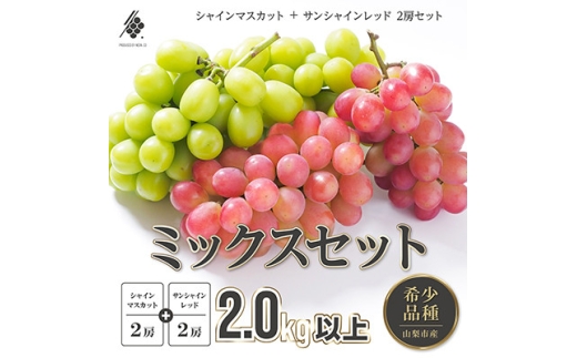 【2027年発送 先行予約】 シャインマスカット 2房 & サンシャインレッド 2房 計2kg以上【1670110】