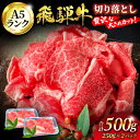 【ふるさと納税】《年内発送 12月10日決済まで》A5ランク 飛騨牛 切り落とし 500g(250g×2) 【有限会社マルゴー】牛肉 飛騨牛 土岐市[MBE002]