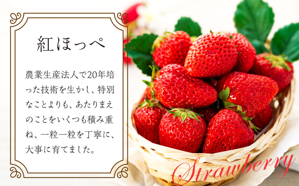 宮田村産　ウエストファームのいちご　紅ほっぺ