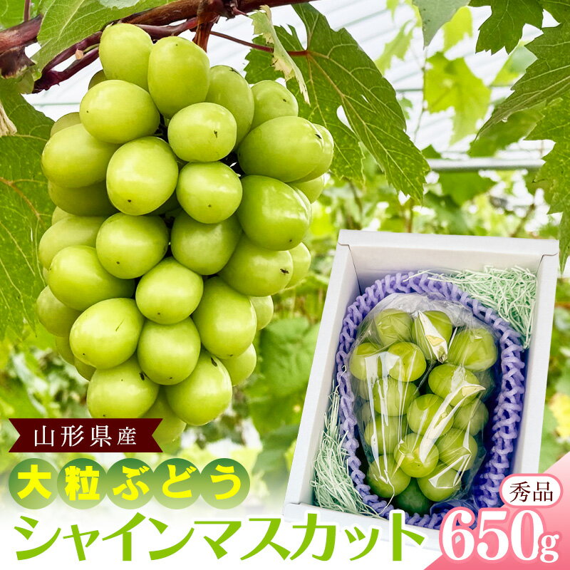 【ふるさと納税】【先行予約】山形県産 シャインマスカット 秀品 650g（1房） 令和8年産 【2026年9月中旬頃から10月下旬頃発送予定】※配送不可 沖縄・離島 2026年産 果物 フルーツ 果実 産地直送 新鮮 贈答 ギフト 特産