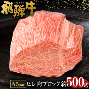 【 希少部位 】飛騨牛 A5 等級　ヒレ 肉 ブロック 約500g | 肉のかた山 キャンプ camp バーベキュー bbq ブロック肉 M61S01