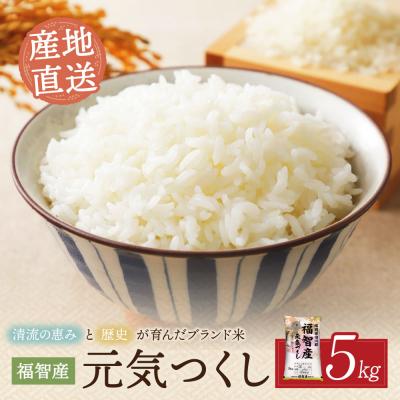 ふるさと納税 福智町 福智町産ブランド米(元気つくし5kg)
