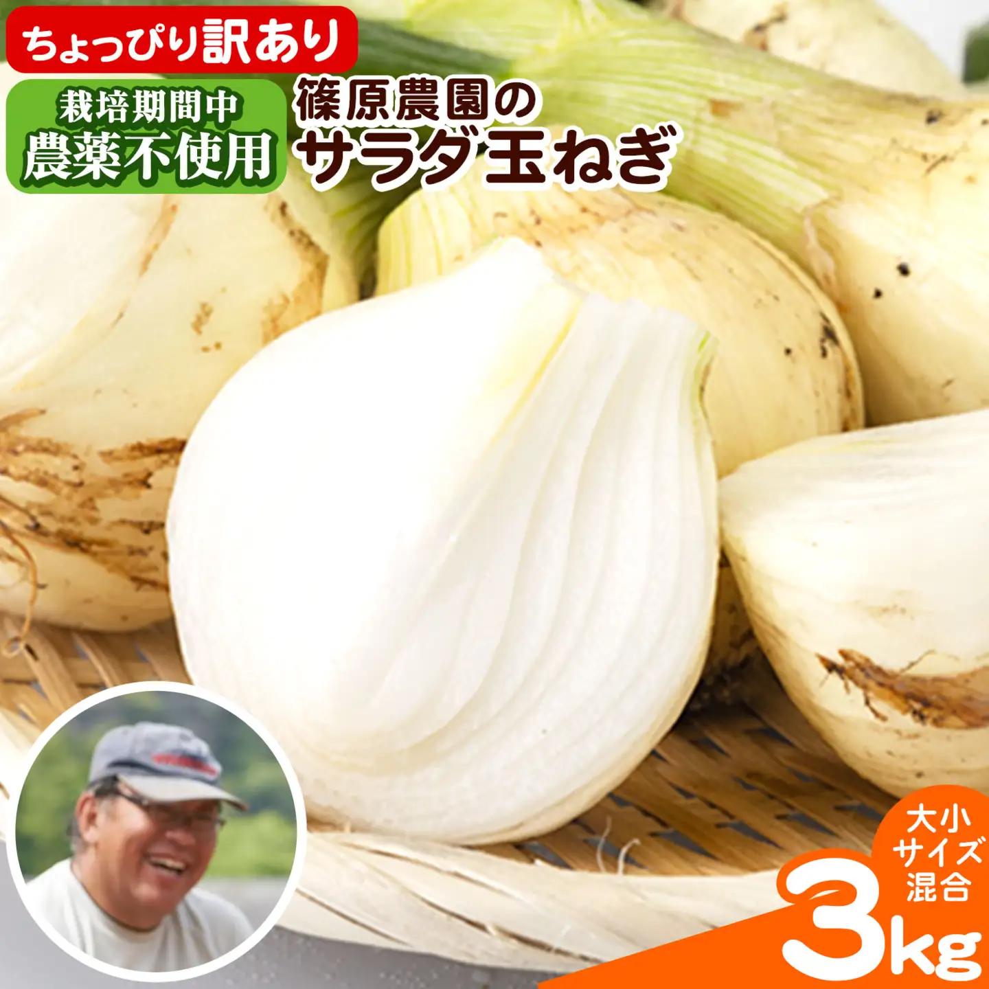 玉ねぎ サラダ 3kg 玉ねぎ