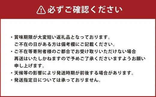 シャインマスカット 晴王 2房入り（合計約1kg）【2026年9月上旬～11月上旬発送予定】【シャインマスカット 果物 フルーツ 国産 人気 おすすめ 岡山県 倉敷市】