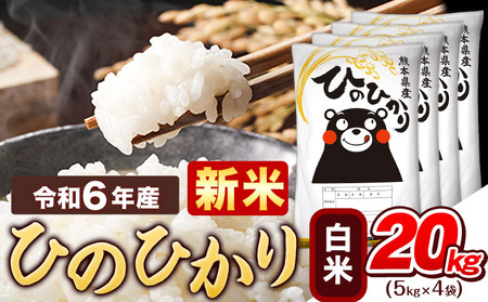 令和6年産 新米 早期先行予約受付中 白米 ひのひかり 20kg 《11月-12月より出荷予定》令和6年産 熊本県産 ふるさと納税 精米 ひの 米 こめ ふるさとのうぜい ヒノヒカリ コメ お米 おこめ