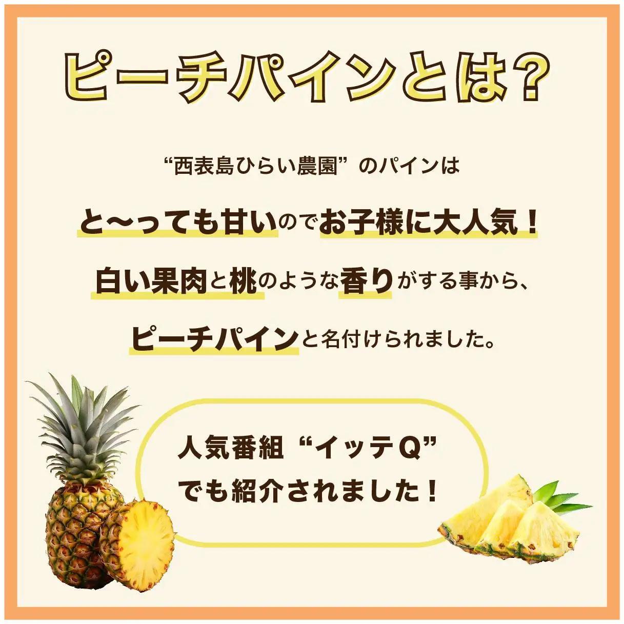 【2027年 先行予約】ピーチパイン 約7kg 