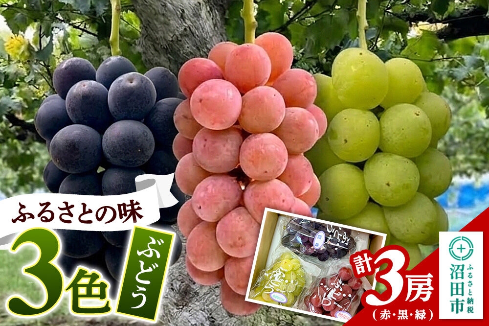 
                  ぶどう ふるさとの味3色（赤・黒・緑）セット 計3房 群馬県 沼田市 やまいしぶどう園 群馬県ぶどう品評会群馬県知事賞受賞 [葡萄 ぶどう ブドウ 濃厚 ジューシー 食べ比べ]
                