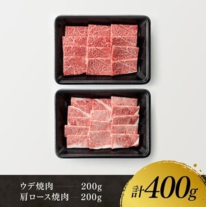 宮崎牛 赤身 霜降り 焼肉 2種 400g【肉 牛肉 牛 国産 宮崎県産 黒毛和牛 牛 和牛 焼肉 牛 やきにく BBQ 4等級  A4ランク うで 肩ロース ロース  E11105】