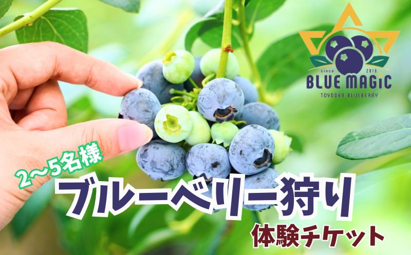 
            ブルーベリー狩り チケット 2～5名様 千葉県 銚子市 ブルーベリー フルーツ狩り 果物狩り フルーツ もぎたて 体験 夏休み 子ども 家族 親子 旅行 デート 果物狩り お手軽 イベント 手作りジャム 果物 チケット ブルーベリー狩り ブルーベリー摘み 6月 7月 8月 AGRIMOVADO アグリモバード
          