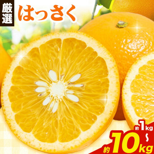 【ふるさと納税】 ＜1月より発送＞ 厳選 はっさく 選べる 1kg +250g 2.5kg +250g 5kg +250g 10kg +250g 池田鹿蔵農園 日高町 《2025年1月上旬-3月末頃出荷》和歌山県 日高町 送料無料 はっさくみかん 八朔 はっさく ギフト【配送不可地域あり】