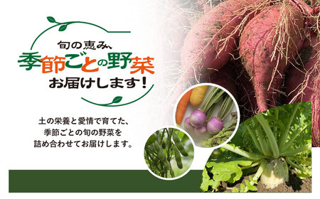 栽培期間中 農薬不使用　季節のお野菜セット  WGS001