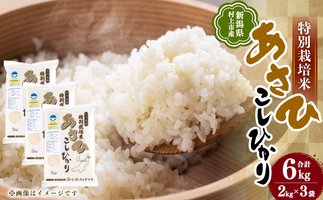 【令和7年産米】新潟県村上市岩船産 特別栽培米 コシヒカリ 6kg A4033