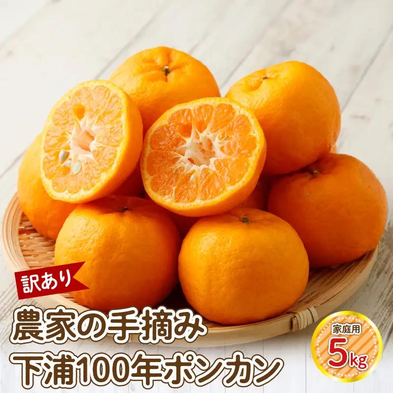 S040-029_【訳あり】農家の手摘み　下浦100年ポンカン　家庭用　5kg