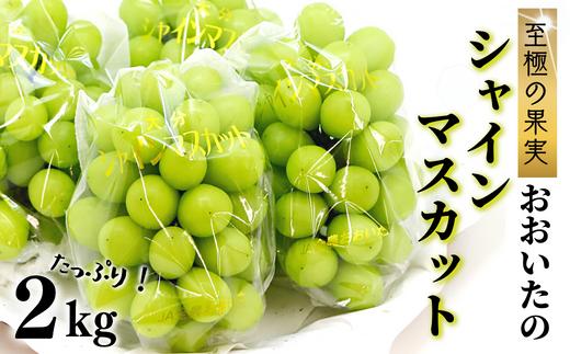 D3-05 至極の果実　おおいたのシャインマスカット2kg