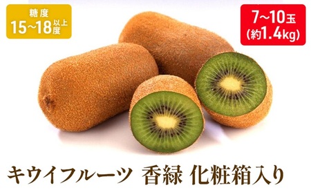 キウイフルーツ 香緑 果物 化粧箱 香川県産 キウイフルーツ【約1.4kg】