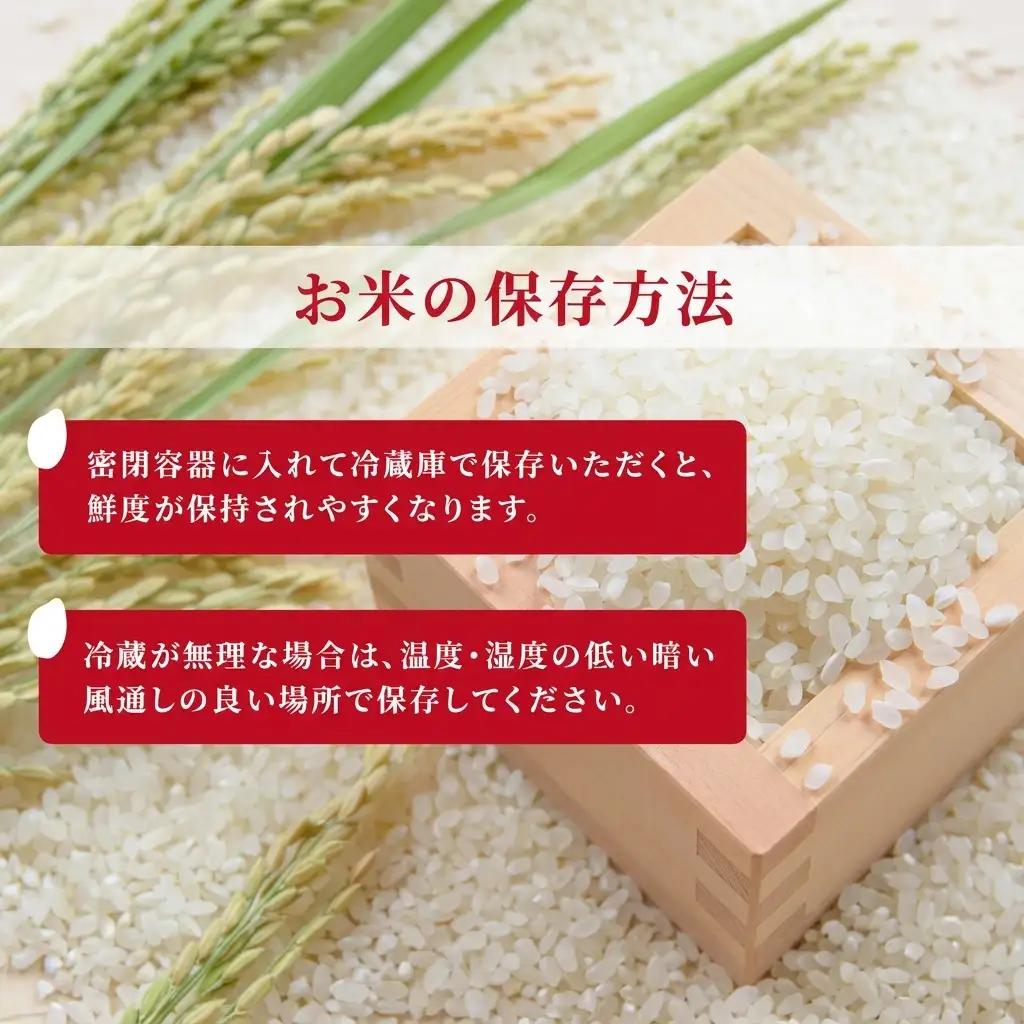 先行予約 令和8年産 新潟県上越市産 特別栽培米 コシヒカリ  15kg（5kg×3袋）ご飯 おにぎり