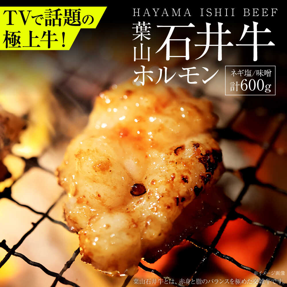 【ふるさと納税】葉山石井牛ホルモン味噌味、ネギ塩味 各300g | 赤身と脂のバランスが絶妙な神奈川・葉山発 牛ホルモン 肉 ほるもん 国産 葉山 HACCP認証 神奈川【株式会社石井ファーム葉山マルシェ】[ASCD013]