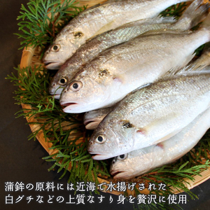 舞鶴名産 御蒲鉾（塗） 5枚 かまぼこ 蒲鉾