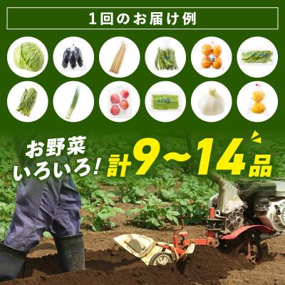 ふるさと納税 御坊市 紀州の野菜・果物セット(9〜14品目詰めわせ) |  | 01