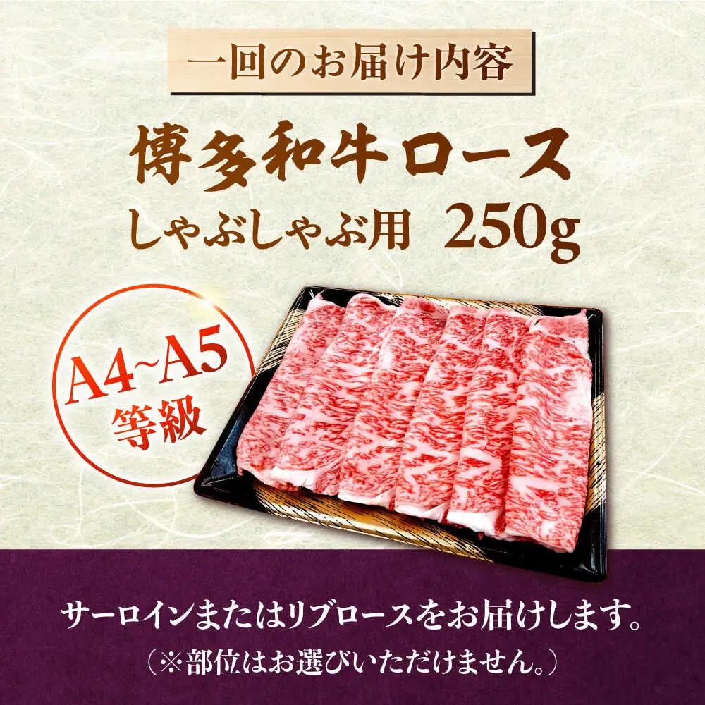 【全6回定期便】【数量限定 博多和牛】ロース しゃぶしゃぶ用 250g 桂川町/株式会社チクゼンヤ [ADBZ043] 牛肉 赤身 国産 定期便