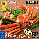 【ふるさと納税】浜茹で 越前がに 特大サイズ（生で1000～1100g） × 1杯 かに酢 食べ方しおり スプーン付き 【3月発送分】【かに カニ 蟹 ズワイガニ ずわいがに 姿 ボイル 福井県 冷蔵】希望日指定可 備考欄に希望日をご記入ください [e04-x031_03]