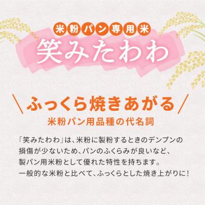 ふるさと納税 佐野市 お米の粉V3　笑みたわわ使用 800g×2袋 |  | 01
