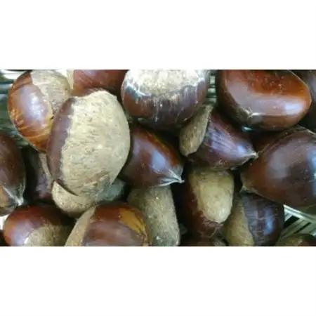 栗　3kg(サイズ2L～M)【配送不可地域：離島】【1145980】