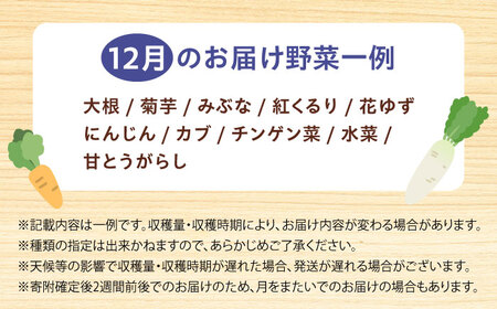 【数量限定・先行予約12】厳選！旬を味わう高槻野菜詰合せセット（10種～15種）【2024年12月発送】