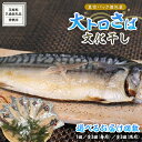 【ふるさと納税】大トロ さば文化 干し 1枚真空 6パック ( 茨城県共通返礼品 :神栖市 ) 選べる発送方法 単品発送 定期便 お届け回数 と 間隔が選べる 連続定期 隔月定期便 2ヶ月に1度 海鮮 鯖 切り身 切身 さば サバ 干物 真空パック 真空包装 化粧箱 冷凍 ノルウェーさば