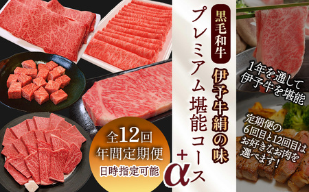 12回定期便 【日時指定可・冷蔵】 伊予牛絹の味 プレミアム 堪能コース+α ※関東以北・沖縄は冷凍｜ 黒毛和牛 A4以上
