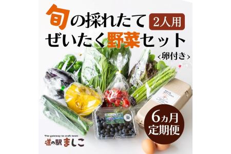 野菜 定期便 卵付き 旬の野菜セット 2人用 6ヶ月定期便 益子町 AA034