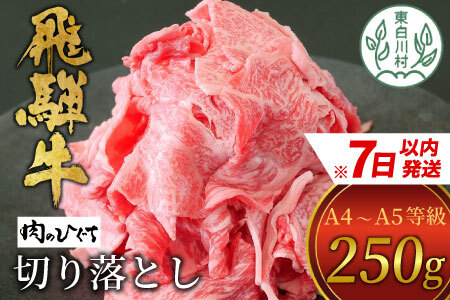  飛騨牛 切り落とし 250g A5 A4 肉のひぐち 5000円