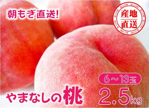 
【先行予約】【2024年発送】山梨県産 矢崎さん家のもも 6～13玉（約2.5kg）桃　

