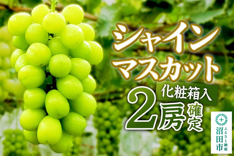 
            《9月中旬以降発送》先行予約 果実の里 原田農園 シャインマスカット 2房（約1.4kg～1.6kg）化粧箱入り
          