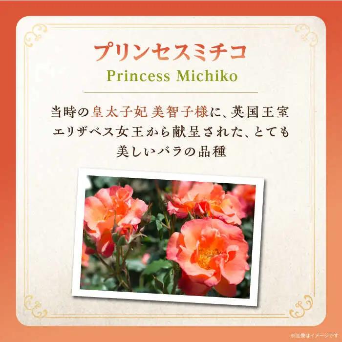 よこやま 純米大吟醸 Princess Michiko（1回火入）720ml（15度）《壱岐市》【天下御免/重家酒造】[JDB359] お酒 日本酒