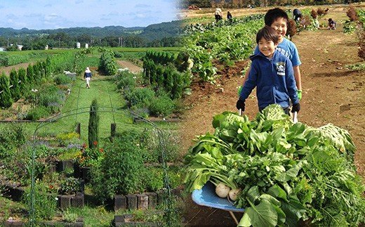 【ふるさと納税】】会員制 貸農園 「カズサ愛彩ガーデンファーム」 年間会員権（5坪） | 送料無料 体験型リゾート農園 収穫体験 野菜の収穫 フルサポート付き 株式会社 アグリライフ倶楽部 君津市