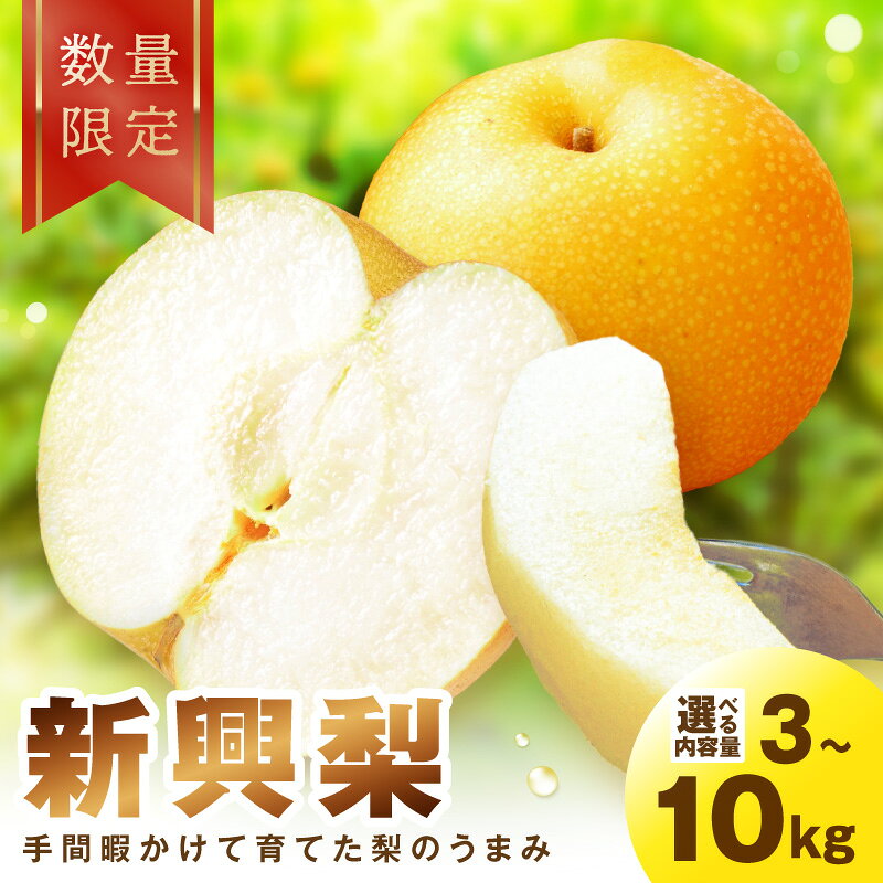 【ふるさと納税】2026秋発送【先行予約／数量限定】新興梨 3kg 5kg 10kg（2026年10月中旬～発送）選べる 内容量 フルーツ くだもの 国産 梨 新興 ふるさと 納税 梨 2026年 先行予約 期間限定 数量限定 ふるさと納税 フルーツ 赤梨 農家応援 生産者応援 送料無料