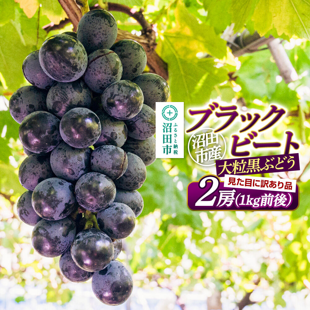 【ふるさと納税】沼田市産 ぶどう ブラックビート 2房（1kg前後）ご家庭用 まるいぶどう園 [葡萄 ぶどう ブドウ ご家庭用]
