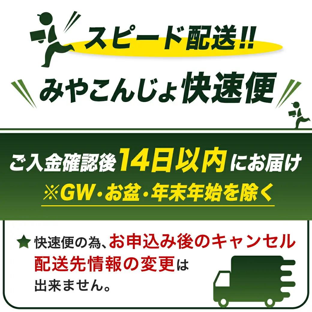 抗ウイルス加工羽毛掛ふとん ポーランド産ホワイトダック93%【SD】≪みやこんじょ快速便≫〔117-E102-R〕_(都城市) 羽毛布団 寝具 抗菌防臭加工 ダウン SEKアレルGプラス加工 日本製 