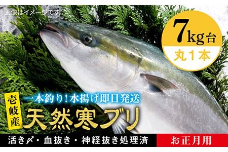 【11/1～1/15お届け 年末年始用】天然 寒ブリ（7キロ台・丸もの） 《壱岐市》【壱岐島　玄海屋】[JBS016] ぶり 寒ぶり ブリ 魚 刺身 しゃぶしゃぶ 142000 142000円 14万 のし プレゼント ギフト 冷蔵配送 九州