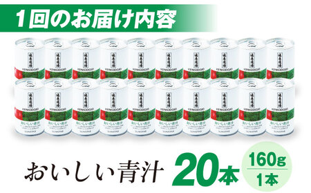 【定期便6回】健康道場　おいしい青汁10本セット×２