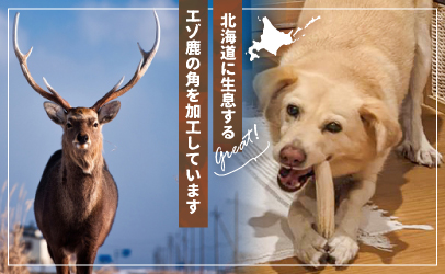 犬用「鹿の角(半割り)」Ｌサイズ×1本[53-1352]