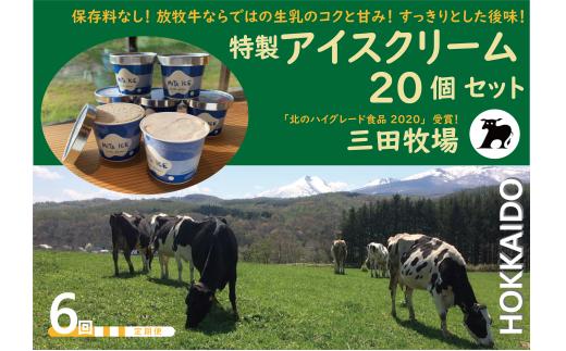 【6ヵ月定期便】アイス 三田牧場 特製 アイスクリーム 4種類 20個セット ミルク チョコレート いちごみるく ラムレーズン