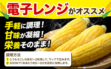  とうもろこし 「 ゴールドラッシュ 」 5kg 以上 11～13本  名寄　とうもろこし